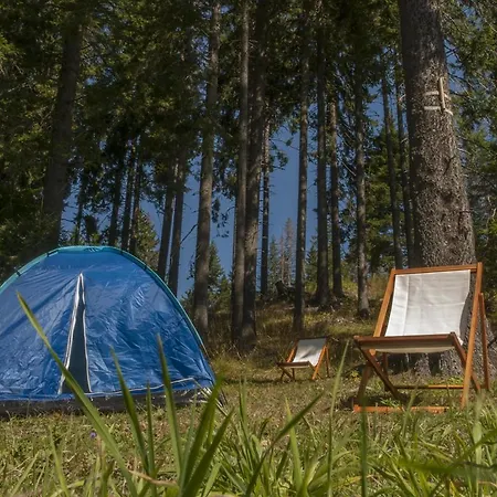 Life Family Pamporovo